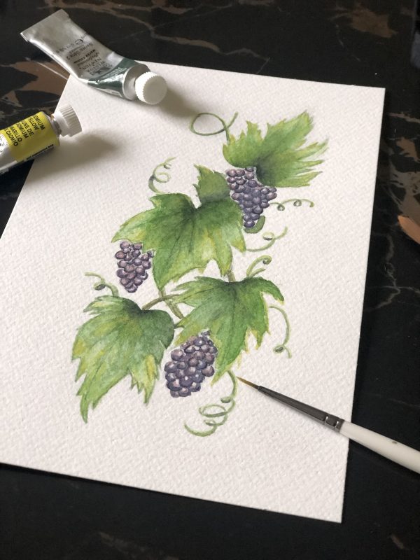 Aquarelle raisins et feuilles de vigne