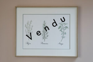Aquarelle et calligraphie originale thym romarin sauge